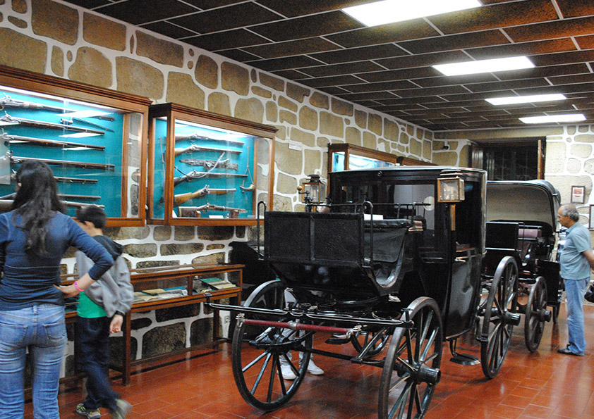 MUSEUS