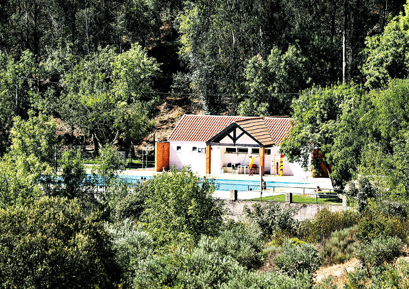 CAMPISMO